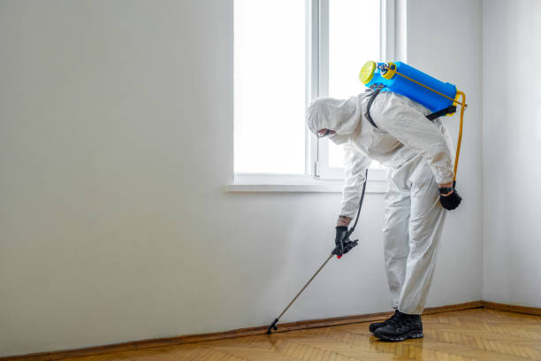 Best Pest Control for Multi-Family Homes  in Algonac, MI